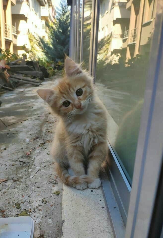 Just my front door, nothing more.
